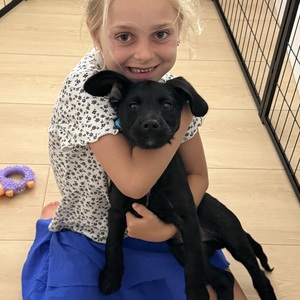 Fundraising Page: Quinn Kezirian